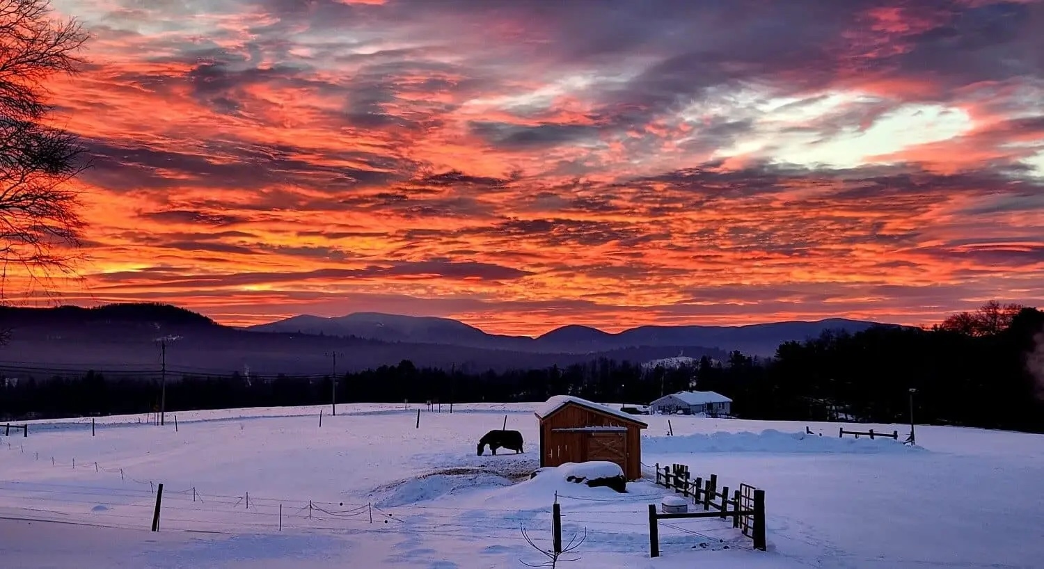 Colorful dark sky with mountains in the background and a horse standing in the snow by a stable