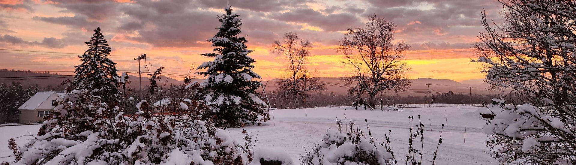Large open field with freshly fallen snow on the ground and trees with an orange sunset sky