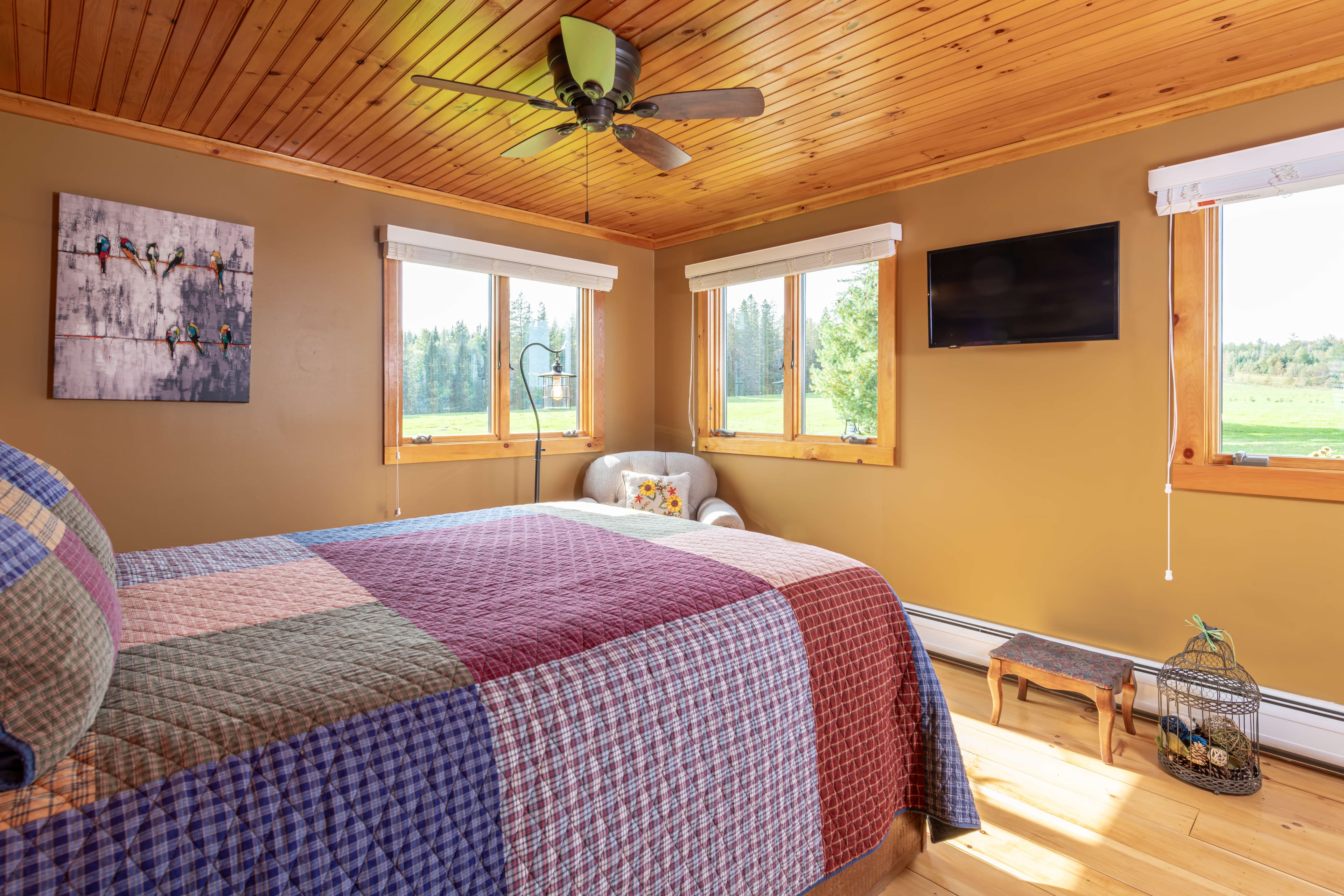 Bed in front of sunny windows and a mounted TV