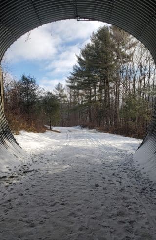 Exiting a tunnel to dirt road covered in snow with evergreens surround under clear sky