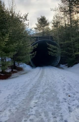 Looking toward a tunnel at the end of dirt road covered with snow surrounded by evergreens