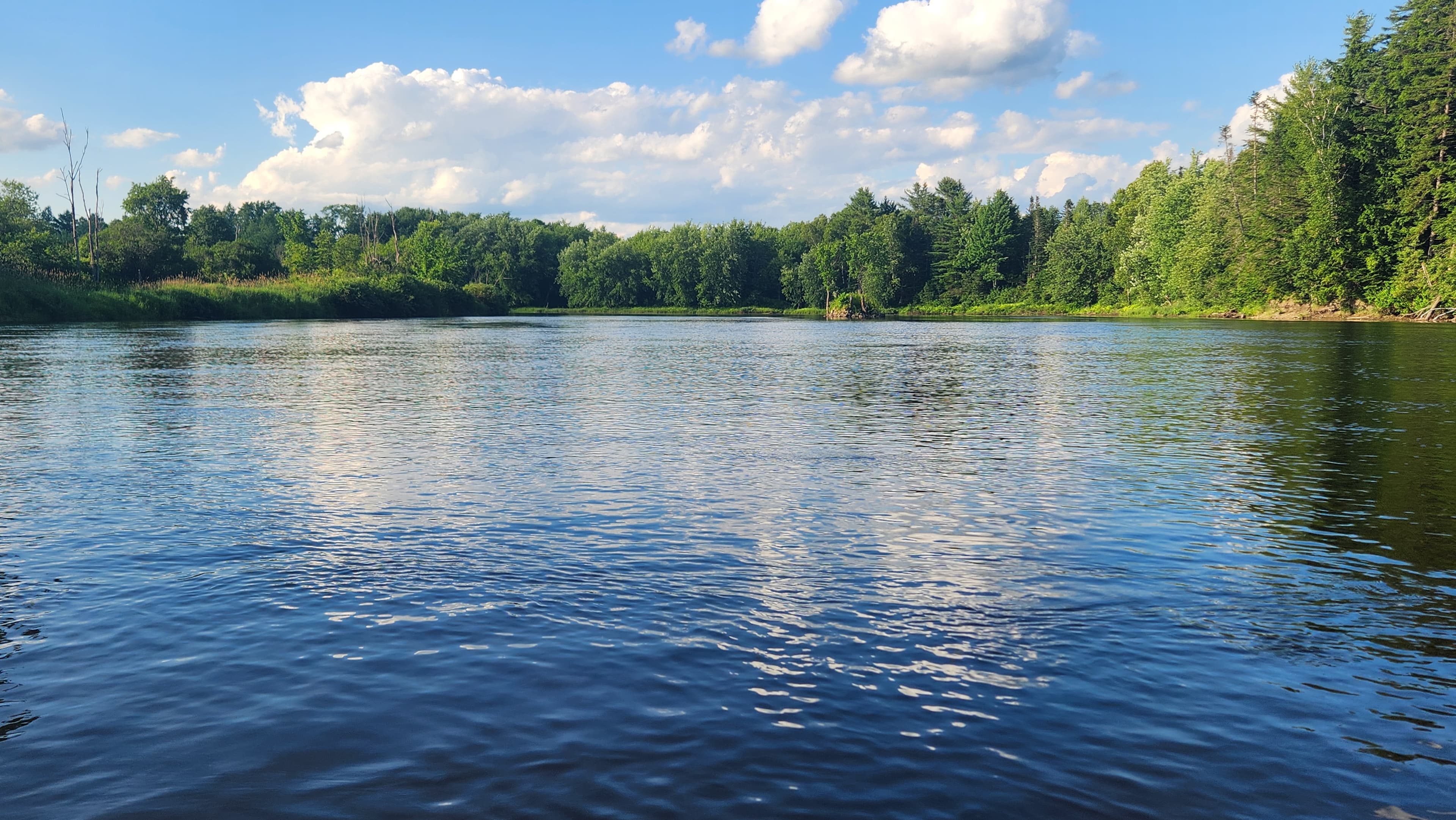 Large river surrounded by lush green trees and blue skies with clouds overhead