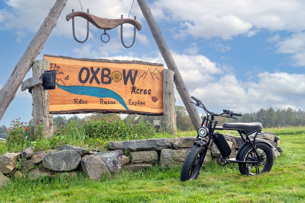 A black e-bike parked next to a large A-frame business sign over a stone wall surrounded by grass.