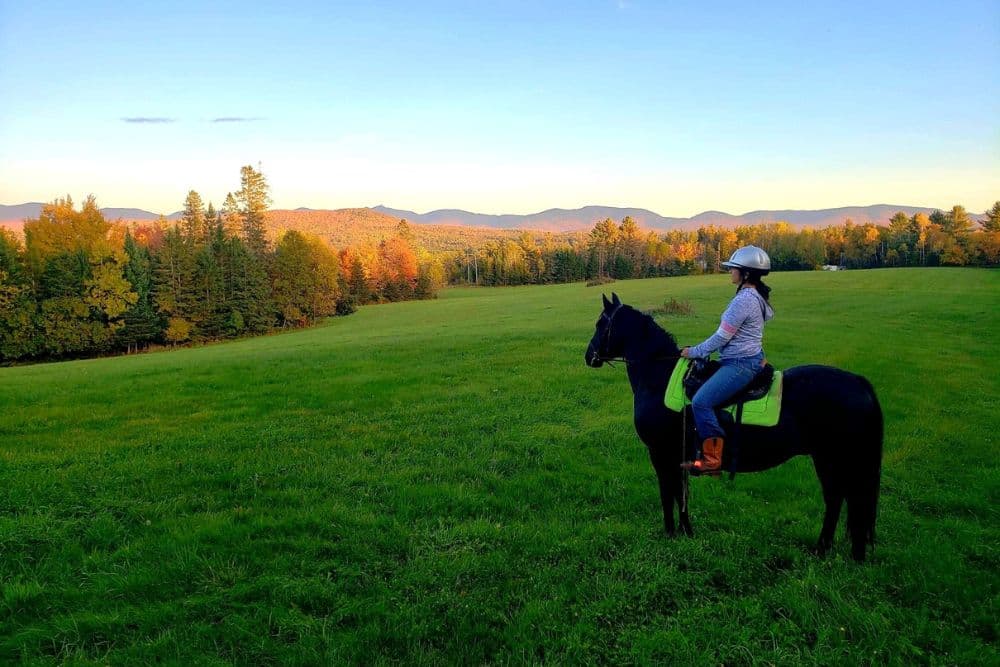 A woman sitting on a dark horse in the middle of a large field surrounded by fall colored trees and rolling hills in the distance.