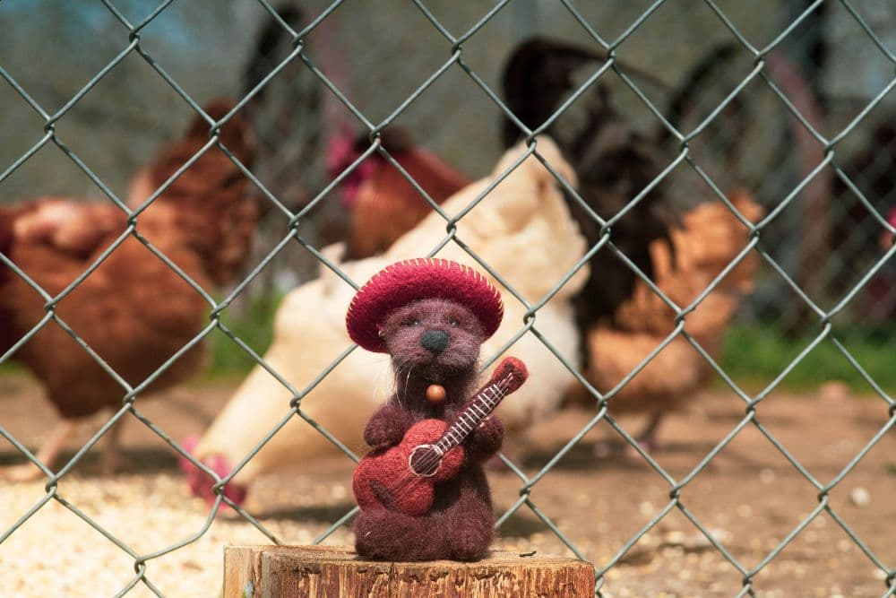 A small stuffed animal holding a guitar on a tree stump in front of a chicken coop