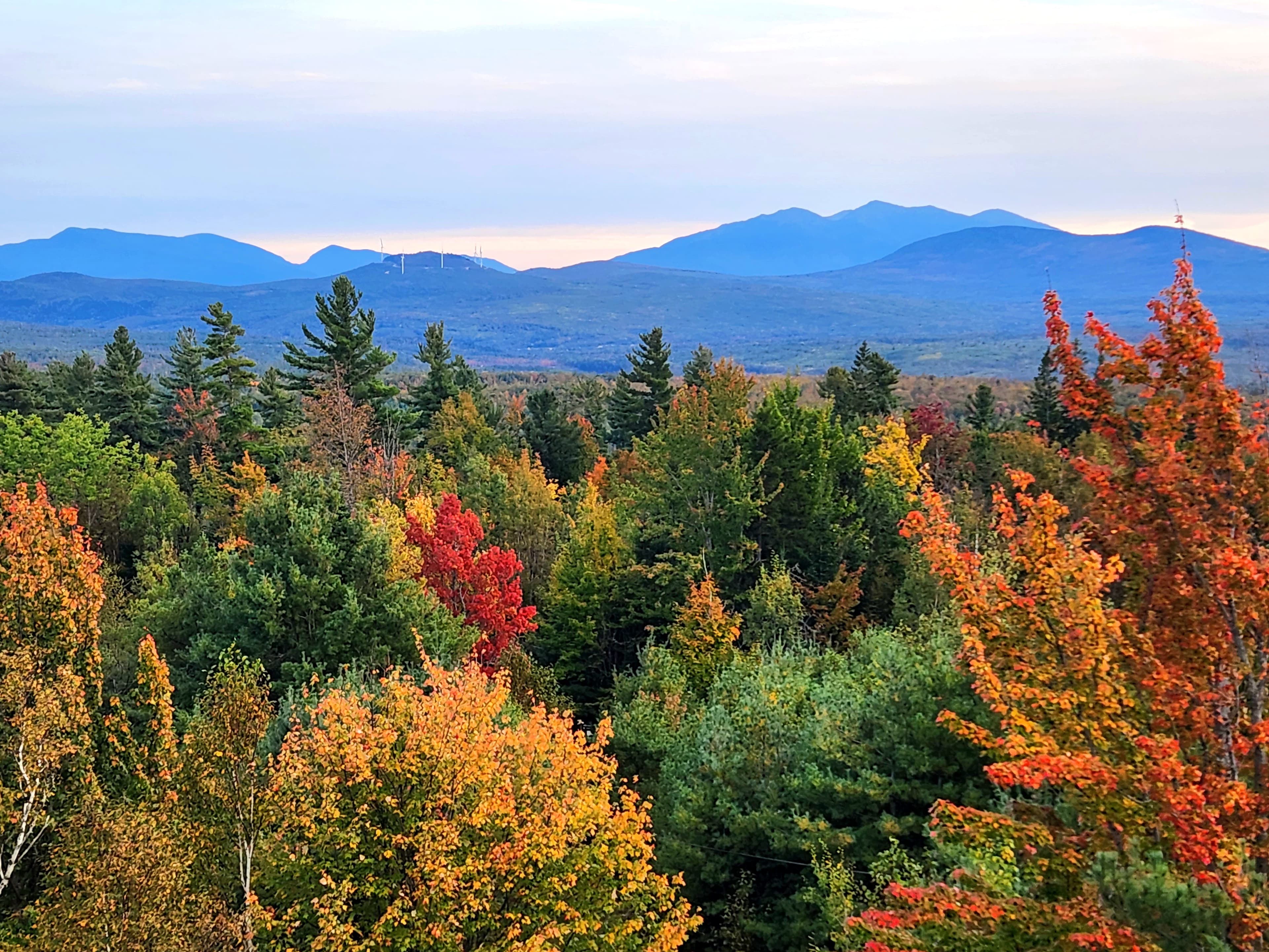 Fall colors in the foreground, mountains in the background