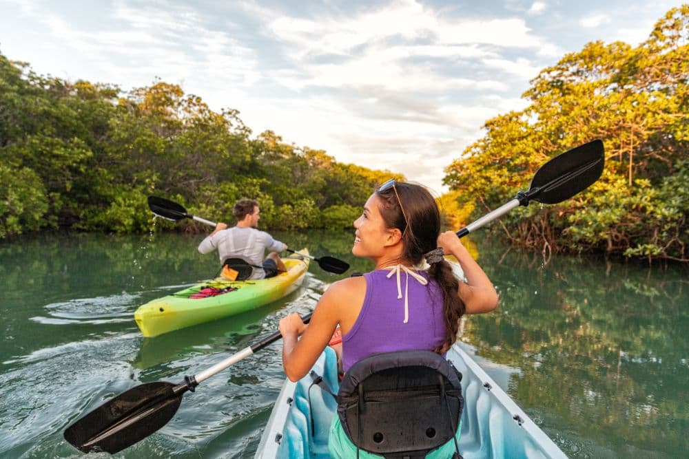 Two people kayaking down a serene river flanked with trees on both sides