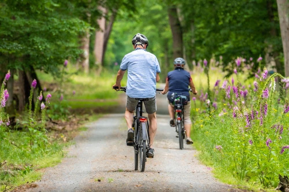 A man and a woman, both on mountain bikes, going down a trail in the woods with purple wildflowers